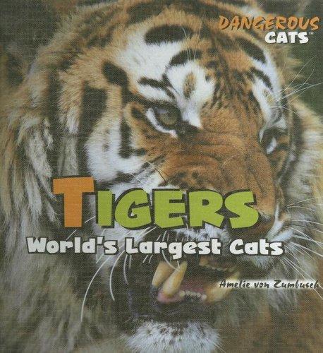 Tigers