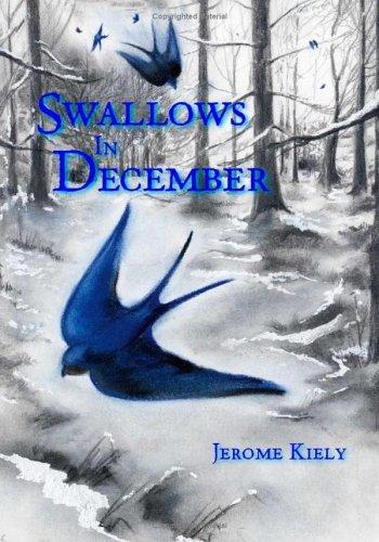 Swallows in December