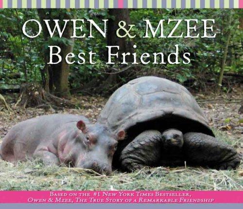 Owen & Mzee