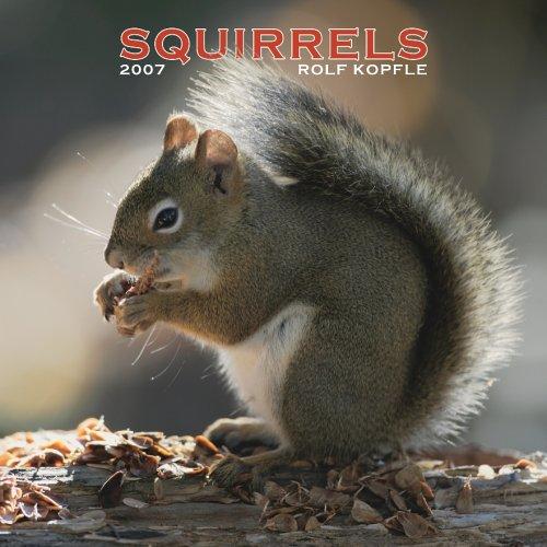 Squirrels 2007 Calendar