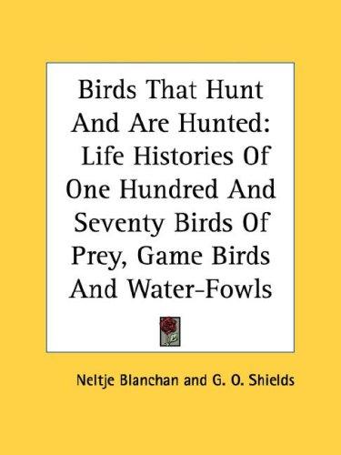 Birds that hunt and are hunted