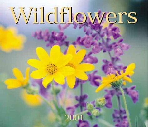 Wildflowers 2001