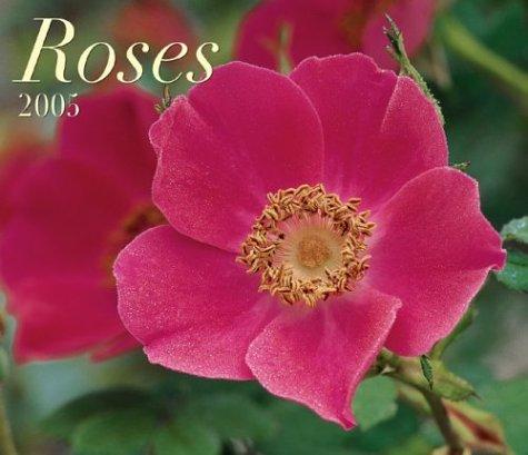 Roses 2005