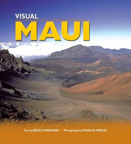 Visual Maui