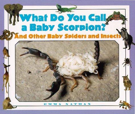 What Do You Call a Baby - Scorpion? And Other Baby Spiders and Insects (What Do You Call a Baby)