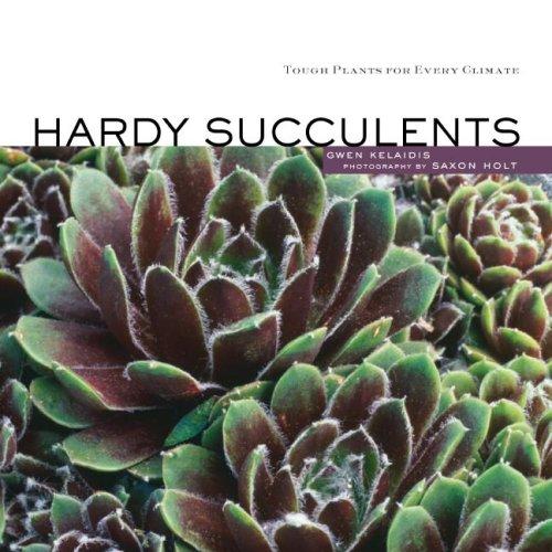 Hardy Succulents