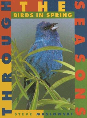 Birds in spring