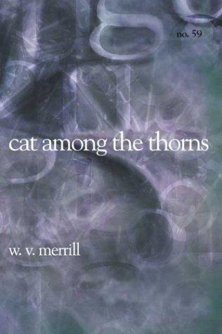 Cat Amoung the Thorns