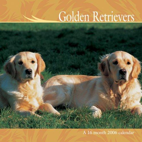 Golden Retrievers2006 16-Month Wall Calendar