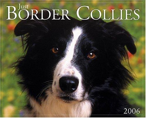 Just Border Collies 2006 16-Month Wall Calendar