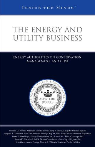 The Energy and Utility Business