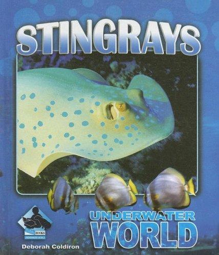 Stingrays (Underwater World)