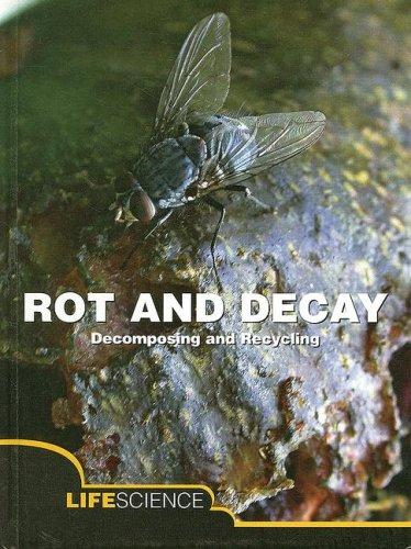 Rot and decay