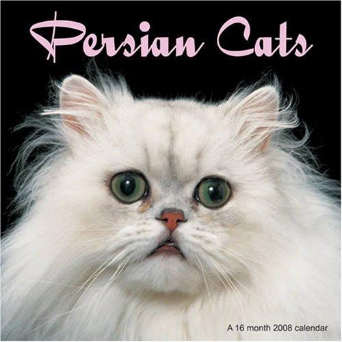 Persian Cats 2008 Wall Calendar
