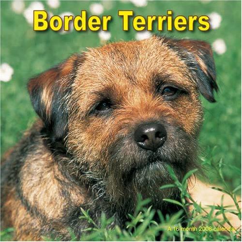 Border Terriers 2008 Wall Calendar