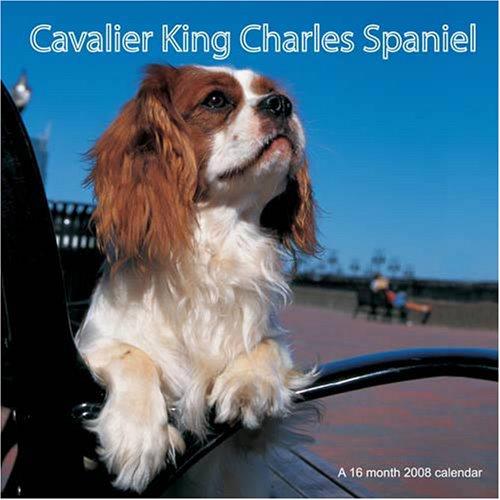 Cavalier King Charles Spaniels 2008 Wall Calendar