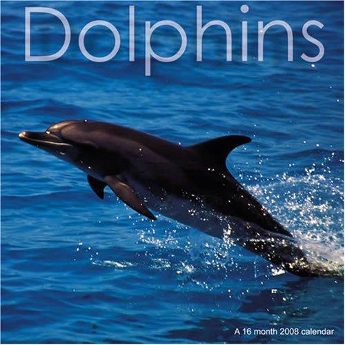 Dolphins 2008 Wall Calendar