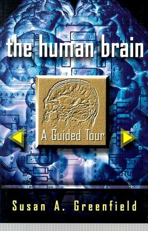 The Human Brain