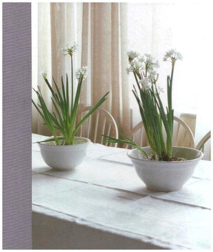 Narcissi Journal