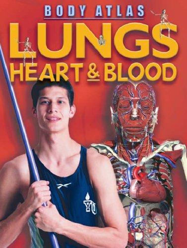 Lungs, heart & blood