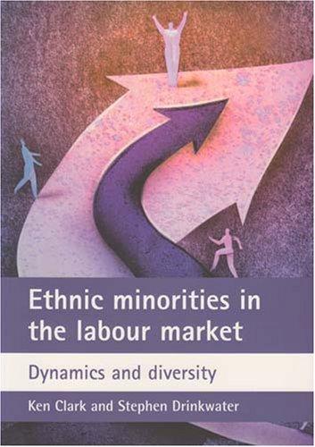 Ethnic minorities in the labour market