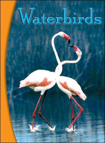 Waterbirds - Infosteps (B18)
