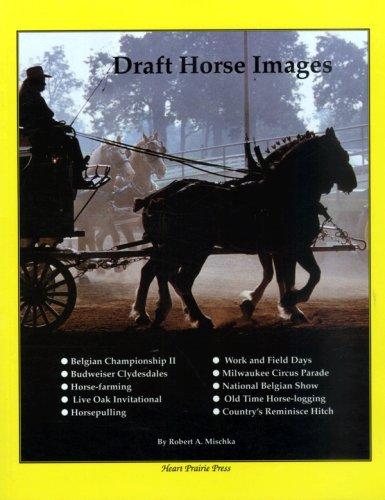 Draft Horse Images