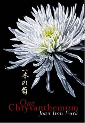 One Chrysanthemum