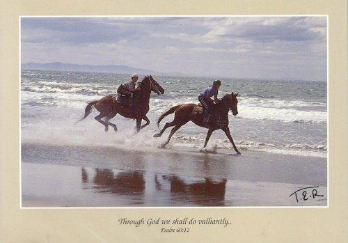 Surf Riding