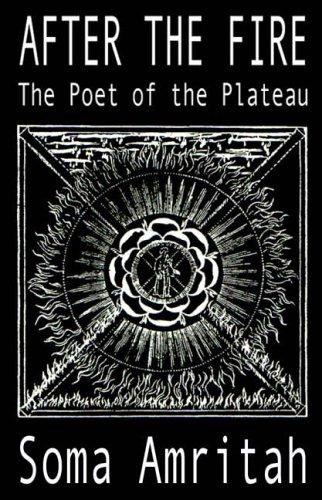 After the Fire (Living Time Poetry)