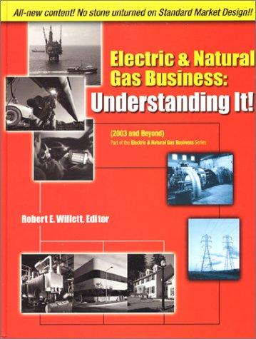 Electricity & Natural Gas Business