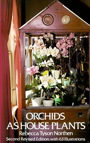 Orchids as house plants