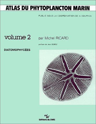 Diatomophycées