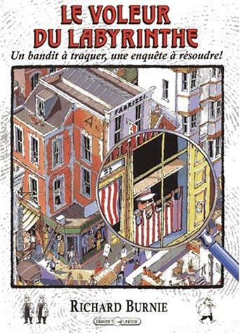 Le voleur du labyrinthe