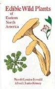 Edible Wild Plants of Eastern North America