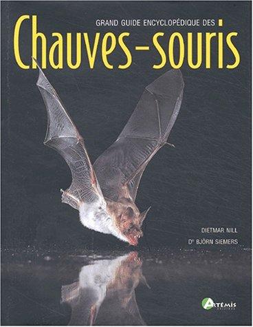 Les Chauves-souris