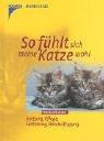 So fühlt sich meine Katze wohl. Haltung, Pflege, Fütterung, Beschäftigung