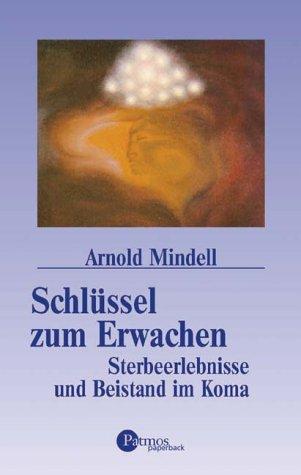 Schlüssel zum Erwachen. Sterbeerlebnisse und Beistand im Koma