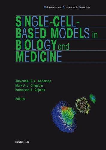 Single-cell-based models in biology and medicine