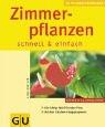 Zimmerpflanzen