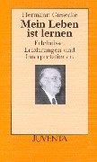 Mein Leben ist lernen. Erlebnisse, Erfahrungen und Interpretationen