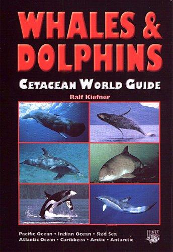 Whales & dolphins