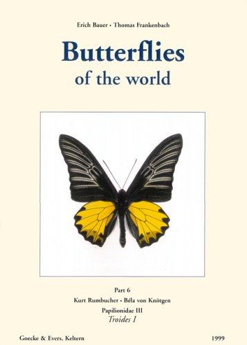Butterflies of the World