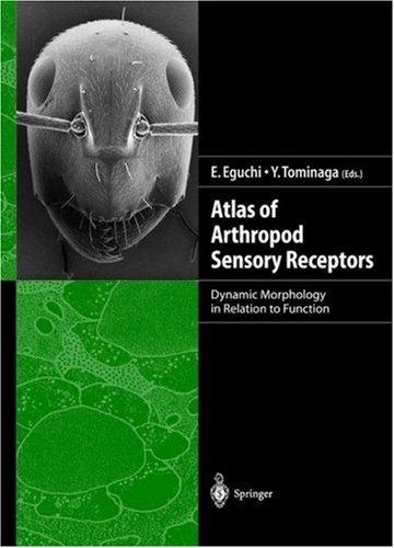 Atlas Of Arthropod Sensory Receptors