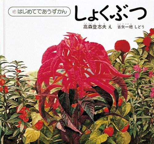 Plants :JAPANESE
