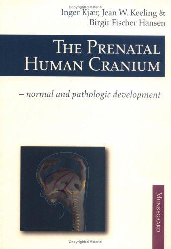Prenatal Human Cranium