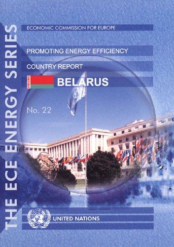 Experience of international organizations in promoting energy efficiency