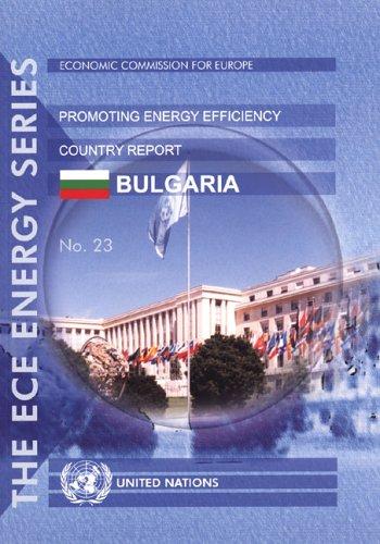 Experience of international organizations in promoting energy efficiency