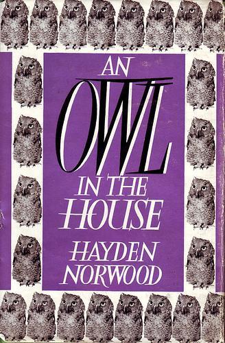 An Owl in the House