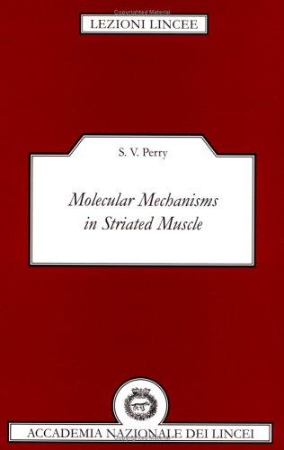 Molecular mechanisms in striated muscle